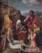 Andrea del Sarto Dead Christ and Virgin mary oil painting